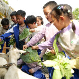 农田变课堂、民俗变教材！凤凰满家村迎来首批春季研学团