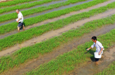 统一管护保春耕
