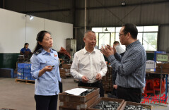 娄底经开区税务局：四稳走基层暖企纾困