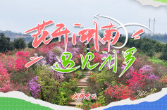 花开湖南⑩｜遇见汨罗：春风尽染映山红