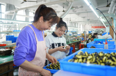 服务举措实  产业提质效