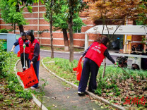 党旗飘扬践初心 爱卫服务暖民心