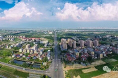 三十而立·岁与君和㊳｜从“孔雀东南飞”到“春暖雁归来”