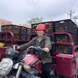 “丰产不愁销！”保靖清水坪镇柑橘产业这样打出“组合拳”→