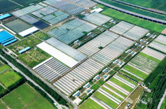 三十而立·岁与君和㊲| 三十载耕新向绿 君山现代农业绘就共富新画卷！君山区建区30周年农业高质量发展纪实