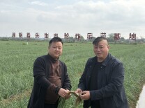 散文丨寻找家乡的味道