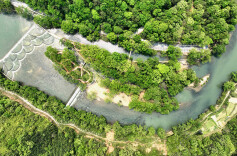 春风又绿五里沟