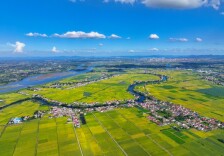 深读｜勇当农业农村现代化的“试验田”