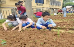 石门县三完小：体验农耕乐趣 争做劳动小先锋