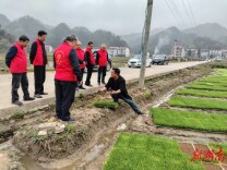 银发专家“零距离”支招安化春耕，农户直呼“太贴心”