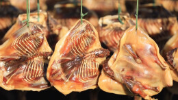 刷屏两岸的酱板鸭来了！来汝城，品非遗板鸭+泡98℃真温泉