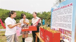 视觉丨农业帮扶直播