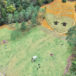 方寸空间放大民生红利@湖南日报要闻版头条