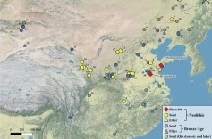 周末·新知丨证实了！4000余年前，麻类作物已是“五谷”之一