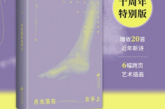 湘江副刊·悦读丨余秀华的“月光落在左手上”