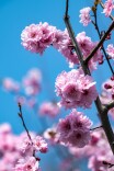 欧阳白：立春|写给春天的诗行㉝