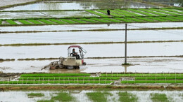 图集|沃野春耕正当时