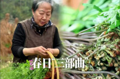 春日三部曲① ｜食春鲜：跟着孔姨，从菜场到小院寻鲜烹春