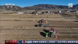 “油”压下的春耕 成本压力与物资供应迎大考