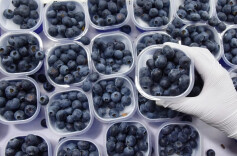 连吃两天确诊胃石症，这种水果不能多吃→