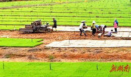 育苗助春耕
