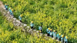 湖南首批推行春假制度的衡阳与株洲如何破题？