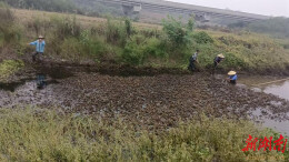 衡南县谭子山镇：开展清河净滩专项行动 守护碧水清流生态防线