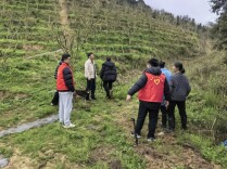 城步：未雨绸缪筑防线 气象服务润苗乡