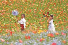 走向制度化的春秋假，你期待吗