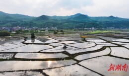 图集|春播正当时