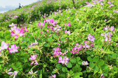 爱心育人  专业授人 ——记邵阳市双清区五里牌小学教师简陈芝