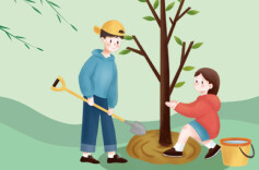 道县今春义务植树200余万株