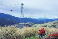 李花漫如雪 银线织春光|湖南日报·图片新闻