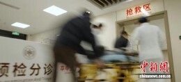 春季情绪易“中毒”？中医专家：疏肝理气守护“心健康”