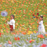 走向制度化的春秋假，你期待吗