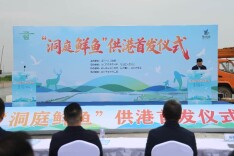 洞庭湖区生态鲜鱼首次直供香港市场
