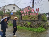 监督护航“甜蜜经济”，麻阳红糖“俏得很”