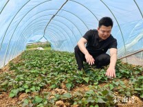 返乡创业“新农人” 乡村振兴“领头雁”——记湘潭县白石镇龙凤村党总支书记、村主任胡彬