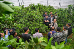 田间开课堂  技术送上门