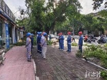 奋进莲城·潭企有为㉛丨湘棋送变电：银线连山河 匠心筑光明