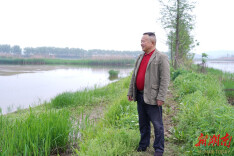 岳阳云溪：从护林到护鸟 一位湿地护林员的“新使命”