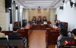 院长敲槌，局长应诉 “两长”同庭推动争议化解