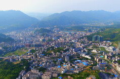 铸牢政治忠诚 提升“三服务”质效 在“十五五”新征程中彰显党办担当