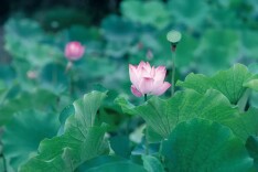 吴传毅：错位政绩观的类型、表现形式及防范纠治措施