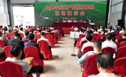 开局八好 乘势而上丨稻花香里说丰年  今年，衡阳市粮食总产量稳定在31.5亿公斤左右