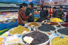 2026 China (Changsha) Import and Export Commodities Expo Inaugurated