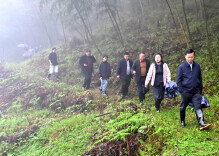 隆回县金石桥镇：党建引领聚合力 文旅融合促发展