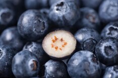 蓝莓不是消炎药，“水果食疗”须避坑