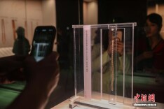 百余枚新修复海昏简牍展出 齐《论语》《诗经》原件首展