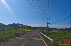 金洞：践行为民宗旨 铺就幸福大道